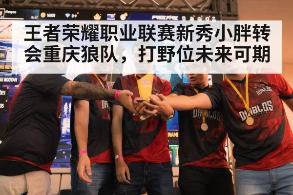 王者荣耀职业联赛新秀小胖转会重庆狼队，打野位未来可期